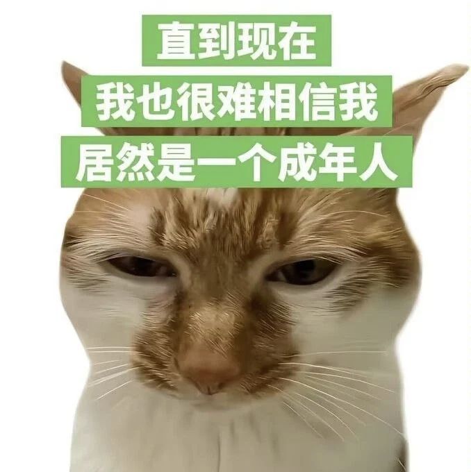 愚人节文案 愚人节文案