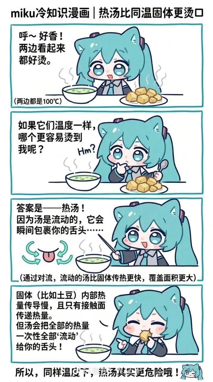 miku冷知识