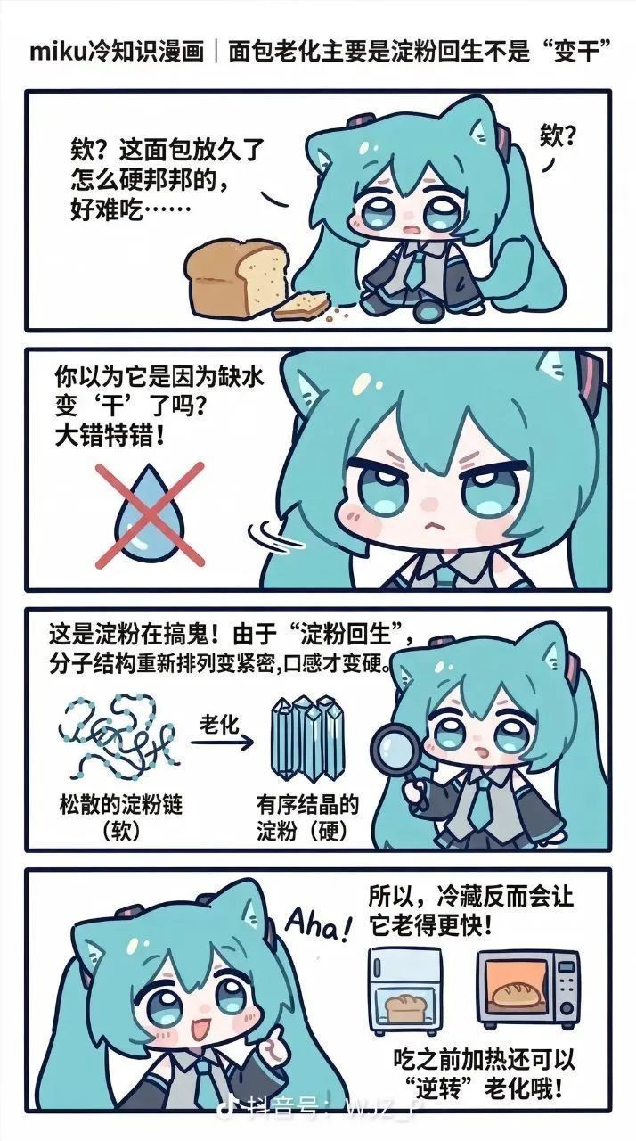 miku冷知识
